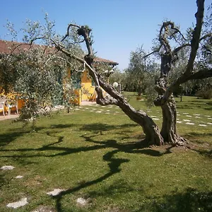 Alloggio per agriturismo La Grande Quercia