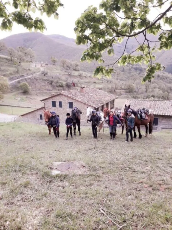 Il Castiglione Agriturismo Bio Villa Sansepolcro 0*,  Italien