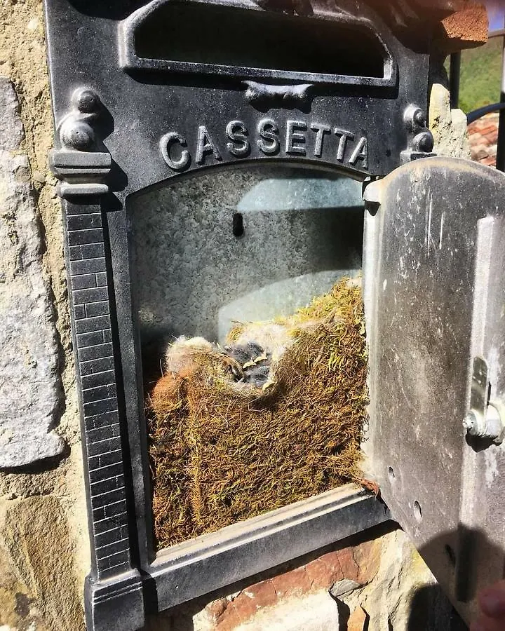 Lantgård Il Castiglione Agriturismo Bio Villa Sansepolcro
